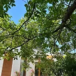 Babvirag Porta Fonyodliget Βίλα