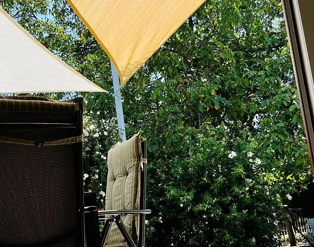 Babvirag Porta Fonyodliget *