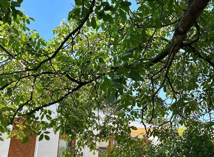 Babvirág Porta Fonyódliget Villa